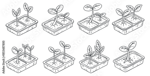 A set of eight illustrations depicting the growth stages of seedlings in simple line art style, suitable for gardening and educational projects