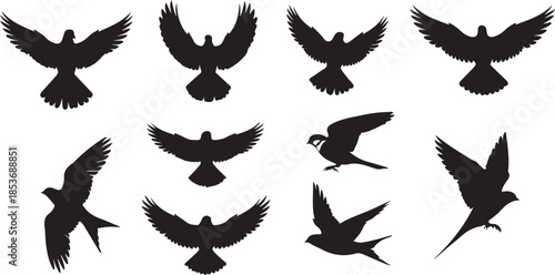Silhouettes of birds in flight and perched positions