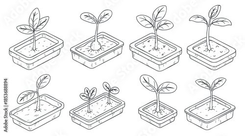 A collection of growing seedlings in various potted containers in black and white outline vector style, ideal for gardening projects and nature-themed designs