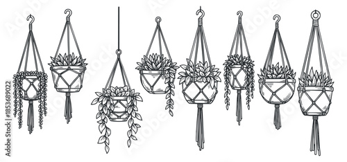 A collection of hanging planters with various plants in black and white lineart style, perfect for home decor and gardening themes