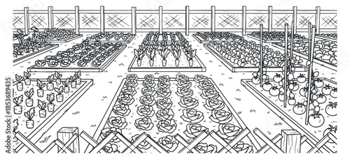 A detailed outline illustration of a vegetable garden with rows of plants in black and white vector style, suitable for gardening and agriculture projects