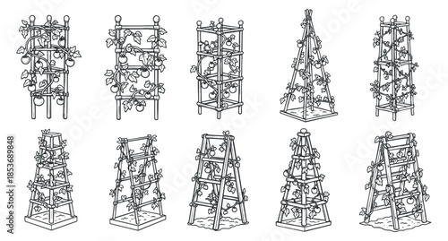 A collection of various trellis designs for supporting climbing plants in outline vector style, suitable for gardening projects and landscaping