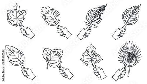 A collection of hands holding magnifying glasses examining various leaves and plants in black outline vector style, ideal for botanical illustrations and eco-themed projects