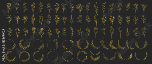 Golden floral wreaths and botanical elements collection, elegant line art flowers and circular frames, luxury decorative wedding invitation design set on transparent background