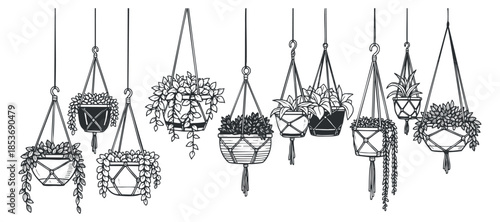 A collection of hanging potted plants in black and white line art vector style, perfect for home decor and gardening projects