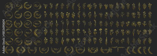 Golden floral wreaths and botanical elements collection, elegant line art flowers and circular frames, luxury decorative wedding invitation design set on transparent background