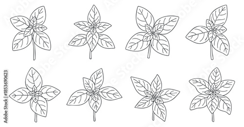 A set of eight outlined botanical leaves in minimalist vector style, ideal for nature-themed designs and illustrations