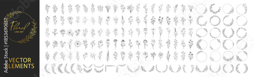 Bild auf Leinwand Hand drawn floral elements collection, botanical flowers leaves wreaths and circ