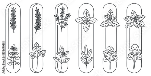 A collection of herb illustrations featuring rosemary, basil, lavender, and other plants in black and white line art vector style, perfect for gardening and culinary projects