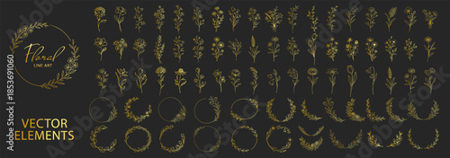 Golden floral wreaths and botanical elements collection, elegant line art flowers and circular frames, luxury decorative wedding invitation design set on transparent background