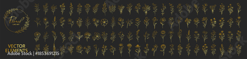 Golden floral wreaths and botanical elements set, elegant flower branches and frames, decorative line art collection vector illustration on transparent background