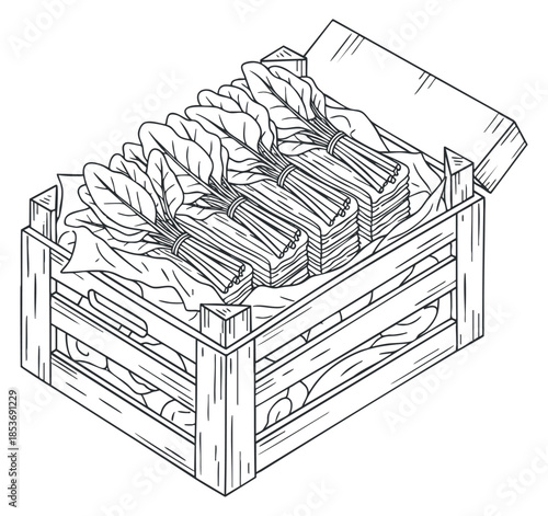 A wooden crate filled with freshly harvested leafy vegetables in a detailed black and white outline style, ideal for organic food branding
