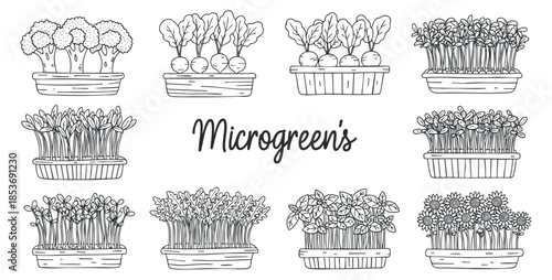 A collection of hand-drawn microgreens in various baskets and pots in black and white outline style, ideal for gardening and healthy living projects