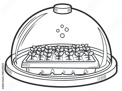 A seed tray with seedlings covered by a glass dome in outlined vector style, ideal for gardening and agriculture projects