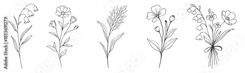 Floral wildflower branches botanical line vector illustration set, hand drawn minimal flowers and leaves, elegant rustic design on transparent background