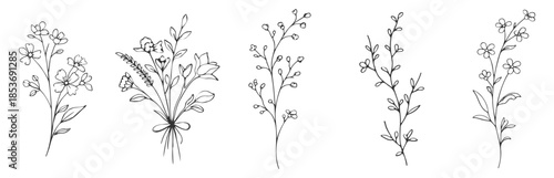 Floral wildflower branches botanical line vector illustration set, hand drawn minimal flowers and leaves, elegant rustic design on transparent background