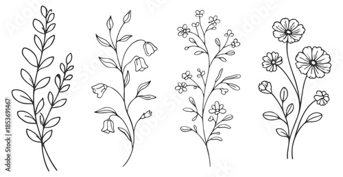 Floral botanical flower set, elegant hand drawn outline vector illustration, minimal line art wildflowers and rose collection on transparent background