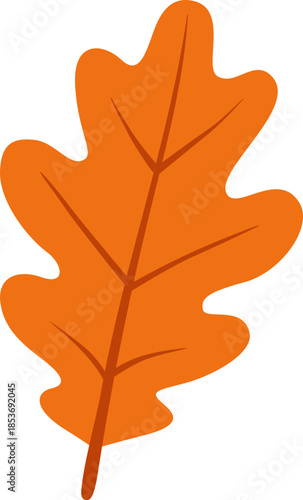 가을 도토리나무 잎 일러스트