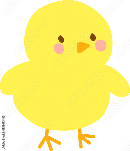 무테 병아리 낙서