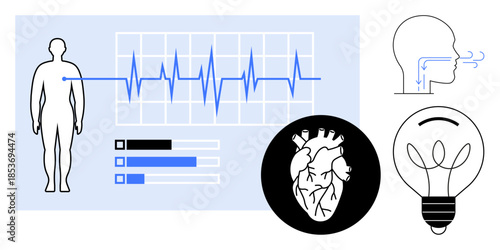 Healthcare, cardiology, innovation, respiration, body monitoring, medical data. Graphic showing a human figure, EKG line lungs heart and lightbulb. Healthcare and cardiology visualization