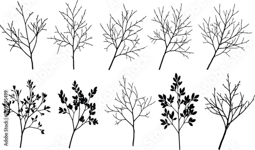 Bare tree branch silhouettes collection in black and white, minimalist botanical illustration set for nature design and winter themes