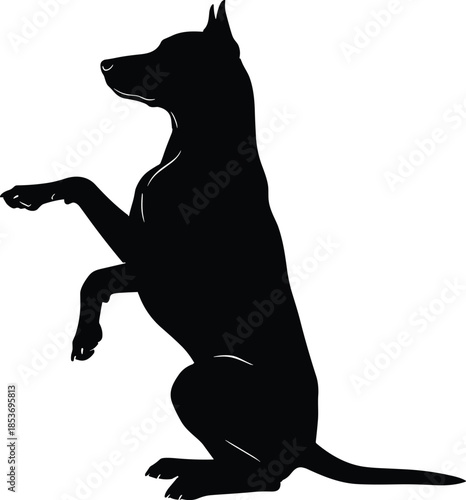 Vector black silhouette of a dog sitting on hind legs and begging with raised paws isolated on white background