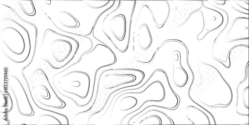Abstract organic contour lines with a subtle gradient effect on a bright white background, creating a topographic map-like pattern with a sense of depth and airy lightness, ideal for digital art