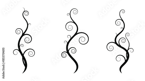 Three elegant black swirls resembling plant stems with circular elements