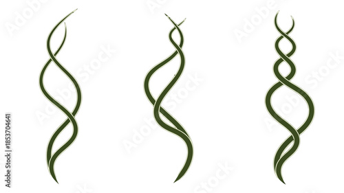 Three green bean sprouts with twisted stems isolated on a white background