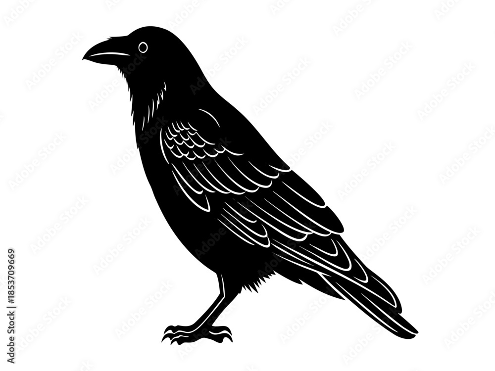 Fototapeta premium Silhouetted Black Crow Perched and Looking to the Side on a White Background, Vector Illustration
