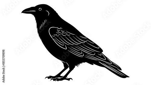 Silhouette of a solitary crow perched with its beak pointing left against a white background