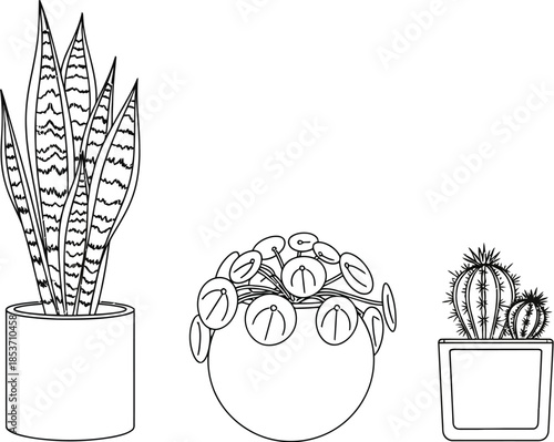 Minimalist black and white line art illustration of three popular potted houseplants for modern decor