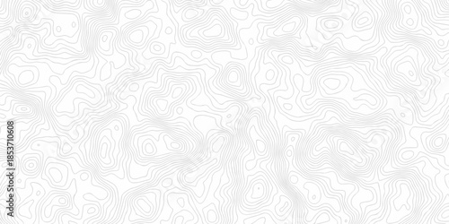 White wave paper curved reliefs abstract background. The topographic map contour in lines isolated. Abstract white topographic map background with lines. Background of the topography map.