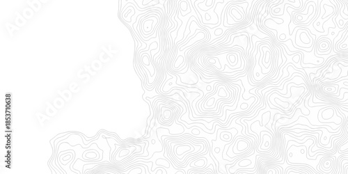 White wave paper curved reliefs abstract background. The topographic map contour in lines isolated. Abstract white topographic map background with lines. Background of the topography map.