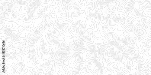 White wave paper curved reliefs abstract background. The topographic map contour in lines isolated. Abstract white topographic map background with lines. Background of the topography map.