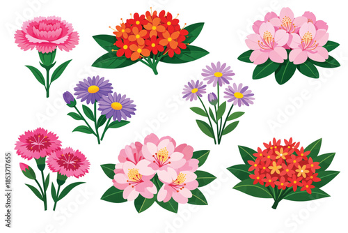 Tropical Exotic Flowers Edition #15—Dianthus Caryophyllus, Asoca, Aster, and Rhododendron. Design Element. Clip art. Suitable for artwork design. Editable for any design.