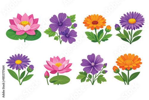 Tropical Exotic Flowers Edition #14—Lotus, Mallow, Calendula, and Purple Aster. Design Element. Clip art. Suitable for artwork design. Editable for any design.