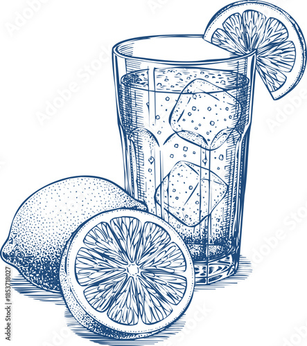 Hand Drawn Sketch of a Tall Glass of Iced Lemonade with Whole and Sliced Lemons drink beverage