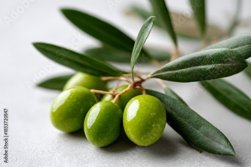 Wallpaper Mural Fresh green olives on branch with leaves Torontodigital.ca