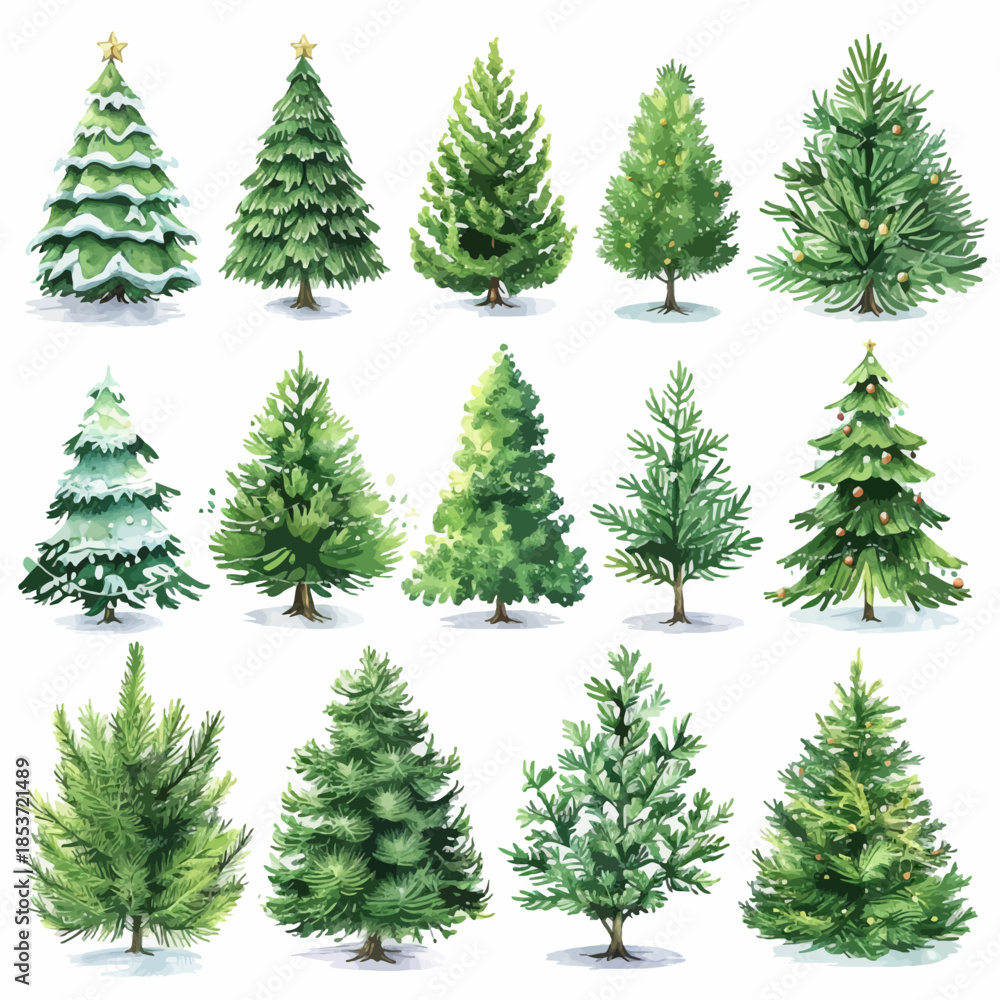 Obraz premium Set of Watercolor Christmas Trees Vector Illustration