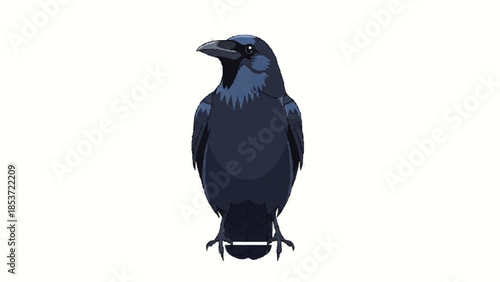 Detailed and realistic vector illustration of a common raven or crow standing, looking to the side on a clean white background.