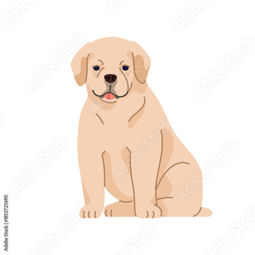 Labrador retriever puppy. Cute funny little lab pup sitting with tongue out. Small purebred dog in seated pose. Adorable kawaii doggy breed. Flat vector illustration isolated on white background