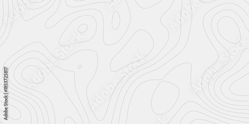 Professional Cartographic Topography Line Pattern
Vintage Monochrome Seamless Terrain Design