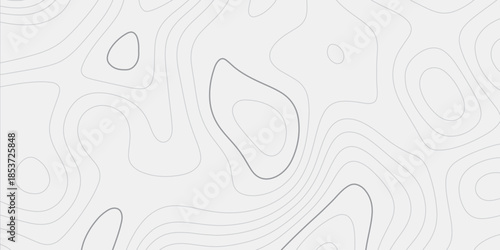 Elegant Black and White Topography Line Texture
Stylized Seamless Contour Map Background