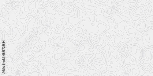 Detailed Seamless Topographic Map with Contour Lines
Classic Black and White Cartography Illustration