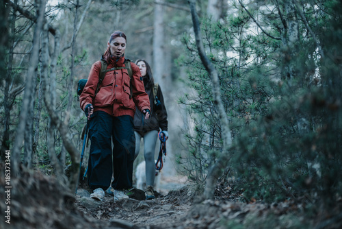 Wallpaper Mural Two women hike along a forest trail with backpacks and trekking gear, enjoying an outdoor adventure together. Torontodigital.ca