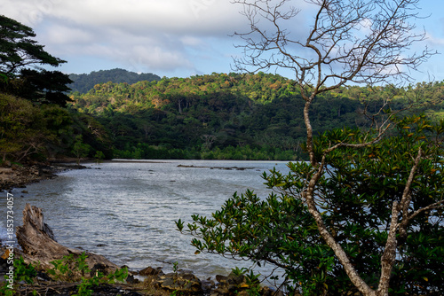 Calm inlet with forested hills (Mount Harriet return route)