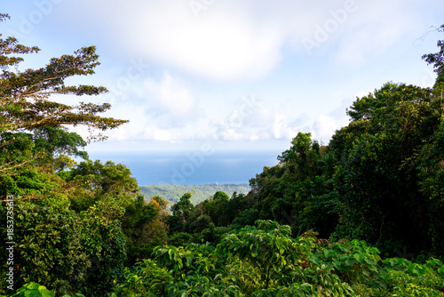 Panoramic View of North Bay Island and Tropical Coastline from Mount Harriet, Andaman Islands, India
