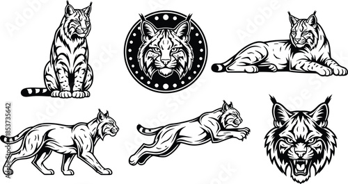 Lynx wild cat illustration set, powerful predator poses and roaring head emblems, detailed black and white vector artwork, wildlife mascot and tattoo style designs