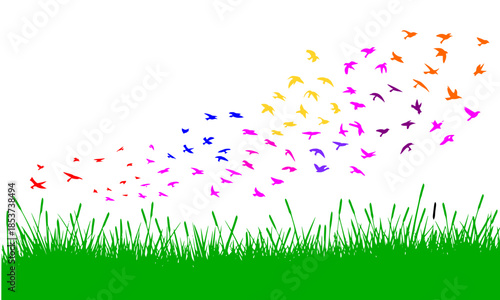 Flock of colorful birds flying over green grass, vibrant rainbow bird silhouettes migration, summer meadow landscape with spring birds, nature vector illustration, joyful wildlife freedom concept